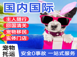 中川机场物流国际宠物托运 【国